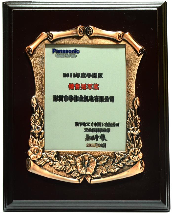 2011年度华南区销售冠军